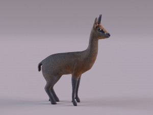 Klipspringer 3D-Modell