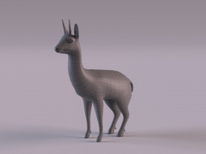 Klipspringer 3D-Modell