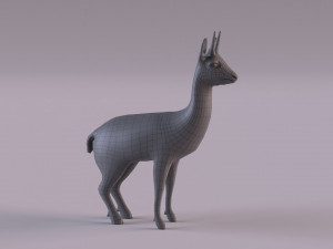 Klipspringer 3D-Modell