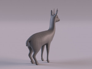 Klipspringer 3D-Modell