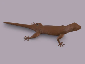 African animals bundle 3D Print Model
