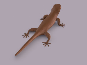 African animals bundle 3D-printmodel