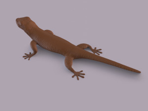 African animals bundle 3D-printmodel
