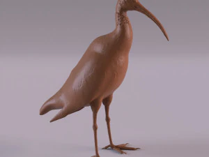 African animals bundle 3D Print Model