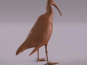 African animals bundle 3D Print Model