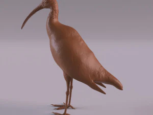 African animals bundle 3D Print Model