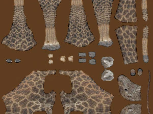 Giraffe 3D Model