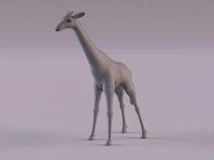 Giraffe 3D Model