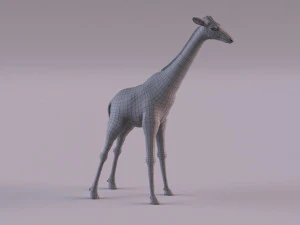 Giraffe 3D Model