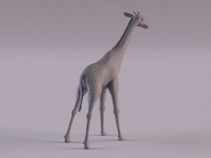 Giraffe 3D 모델