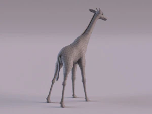Giraffe 3D Model