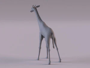 Giraffe 3D Model