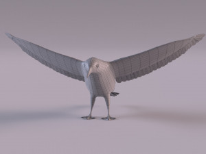 3D Black Guillemot 3D-Modell
