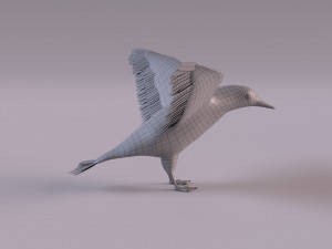 3D Black Guillemot 3D-Modell