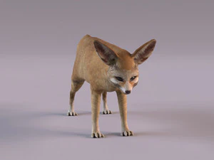Modelo zorro fennec Modelo 3D