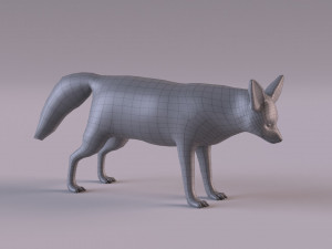 Fennec fox model 3D Model