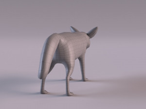Fennec fox model 3D Model