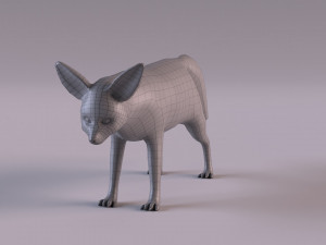 Fennec fox model 3D Model