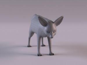 Fennec fox model 3D Model