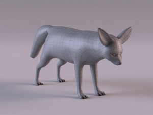 Fennec fox model 3D Model