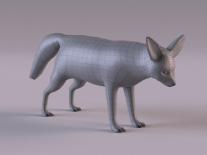 Fennec fox model 3D Model
