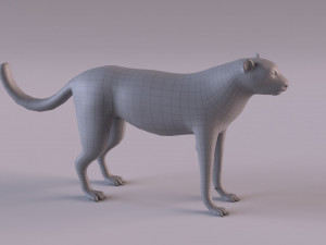 Cheetah 3Dモデル