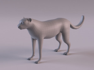 Cheetah 3Dモデル