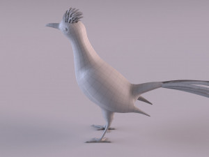 Roadrunner Model 3D