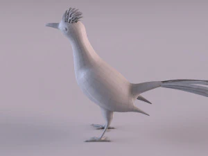 Roadrunner 3D Model