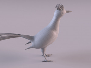Roadrunner Model 3D
