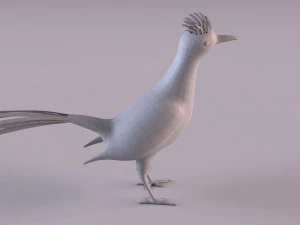 Roadrunner 3D Model