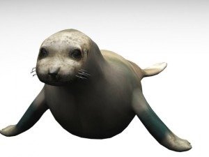 seal 3D Модель