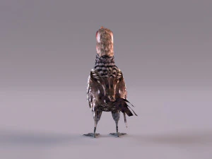 Yellow-Billed Hornbill 3D Model