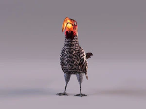 Yellow-Billed Hornbill 3D Model