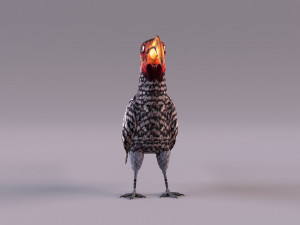 Yellow-Billed Hornbill 3D Model