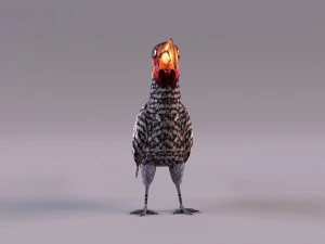 Yellow-Billed Hornbill 3D Model