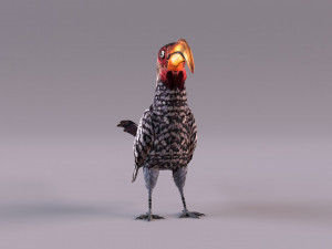 Yellow-Billed Hornbill 3D Model