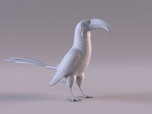 Yellow-Billed Hornbill 3D Model