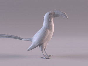 Yellow-Billed Hornbill 3D Model
