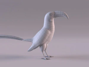 Yellow-Billed Hornbill 3D Model