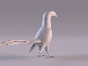 Yellow-Billed Hornbill 3D Model