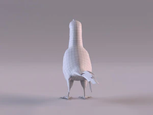 Yellow-Billed Hornbill 3D Model