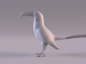 Yellow-Billed Hornbill 3D Model