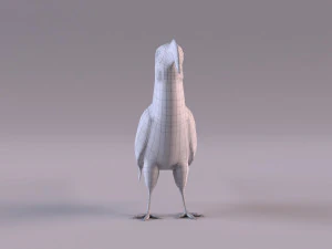 Yellow-Billed Hornbill 3D Model