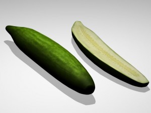 cucumber 3D Model