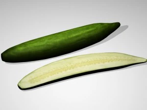 concombre Modèle 3D