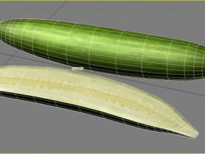 concombre Modèle 3D