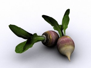 turnip 3D मॉडल