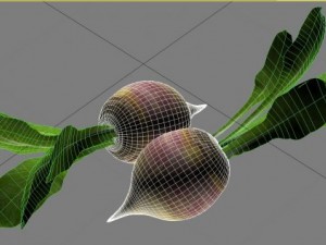 turnip 3D Model