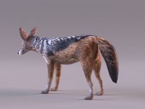 Jackal 3D-Modell